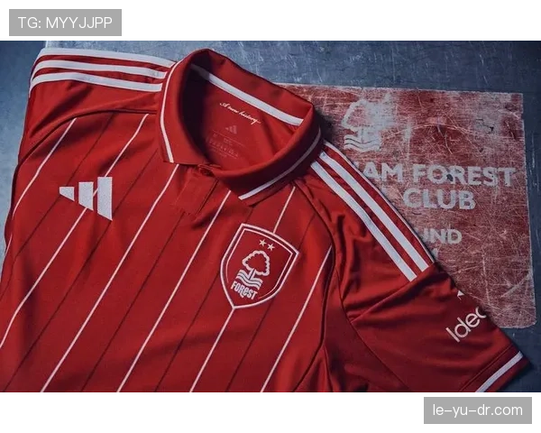 全新队徽震撼发布：融合历史传承与未来雄心