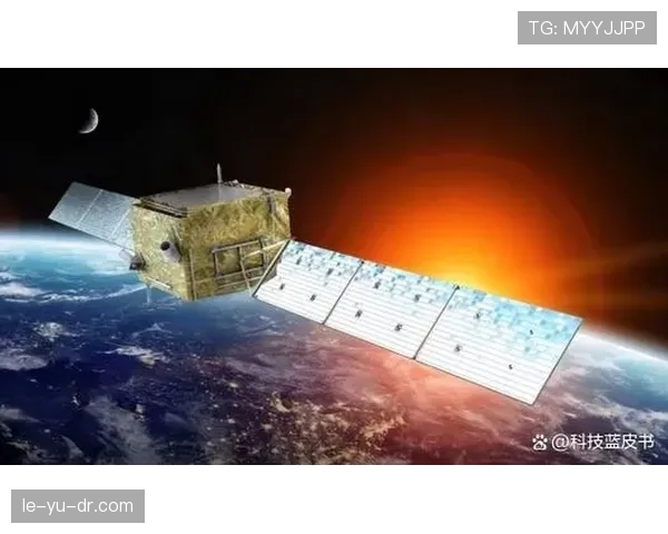 约罗·帕夫洛维奇新研究揭示记忆奥秘，学习能力成焦点