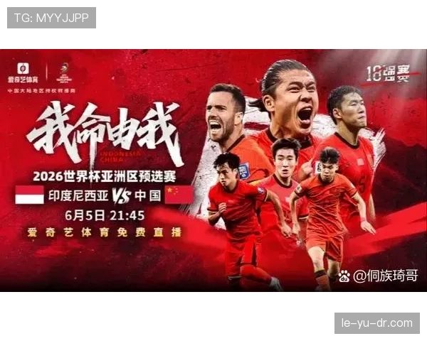 非洲杯小组赛激战正酣，关键对决决定晋级命运